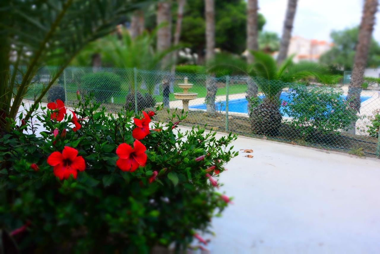 Palmeras, Piscina, Campo De Futbol Y Jardin Privados Мазаррон Экстерьер фото