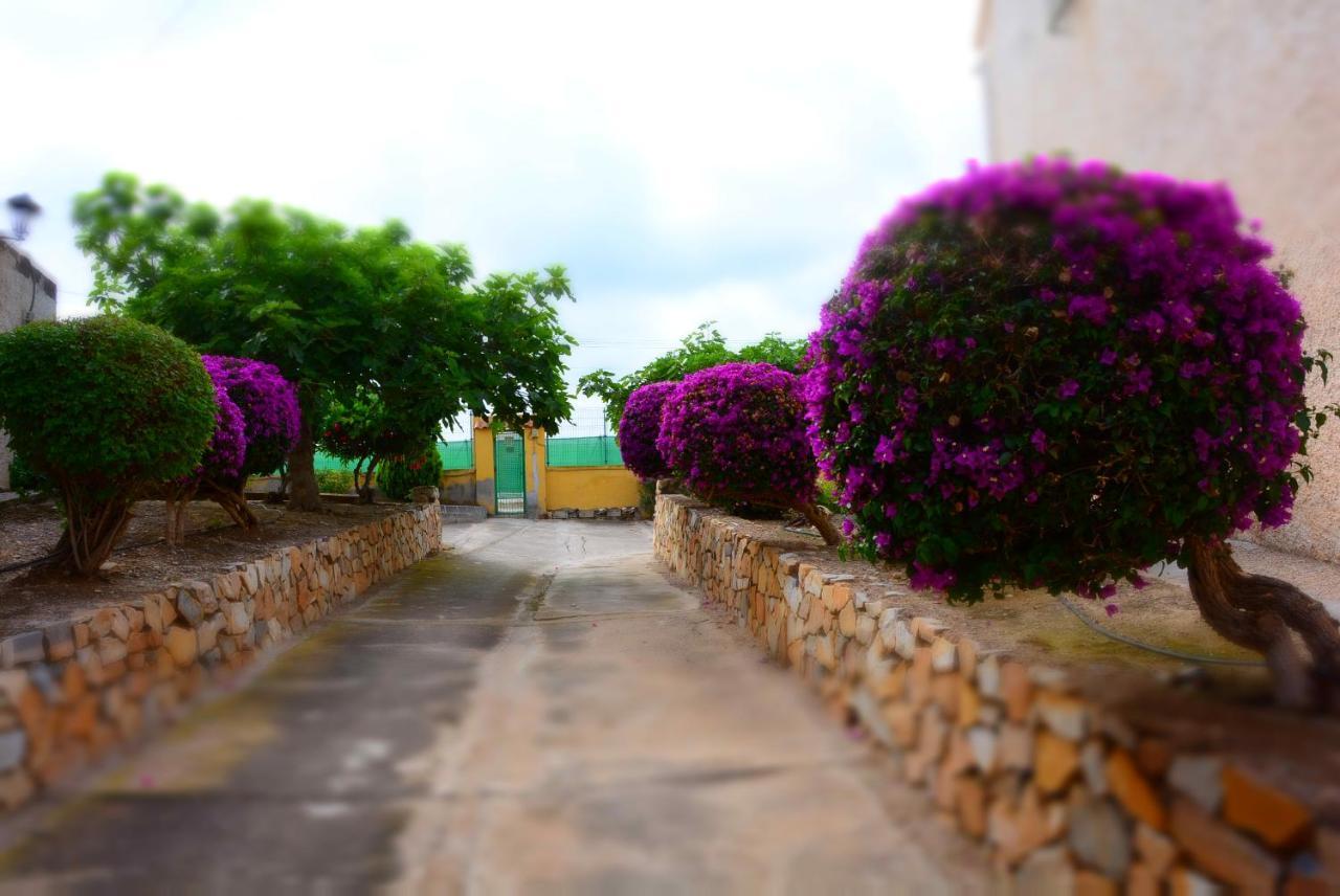 Palmeras, Piscina, Campo De Futbol Y Jardin Privados Мазаррон Экстерьер фото