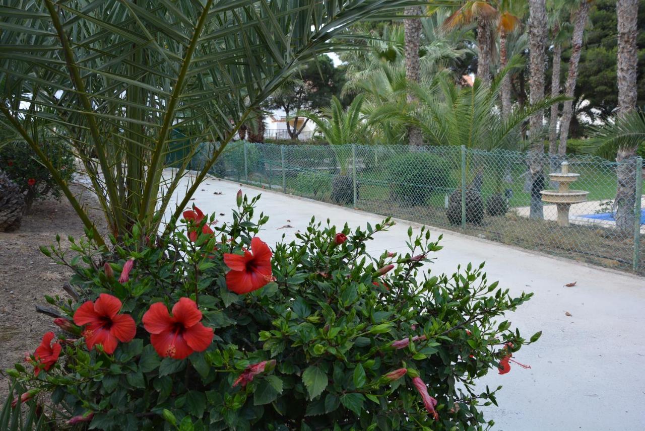 Palmeras, Piscina, Campo De Futbol Y Jardin Privados Мазаррон Экстерьер фото