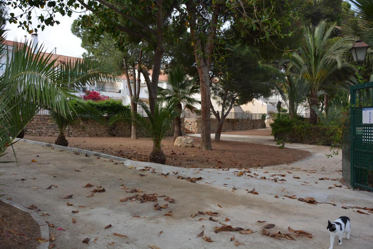 Palmeras, Piscina, Campo De Futbol Y Jardin Privados Мазаррон Экстерьер фото