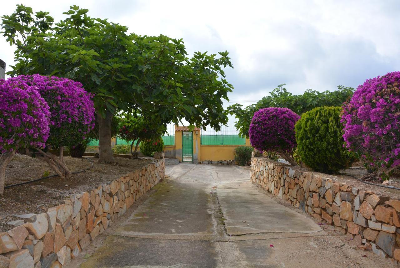 Palmeras, Piscina, Campo De Futbol Y Jardin Privados Мазаррон Экстерьер фото